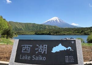 西湖の表示板と富士山
