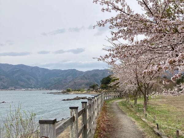 50km地点の浅間神社過ぎ付近